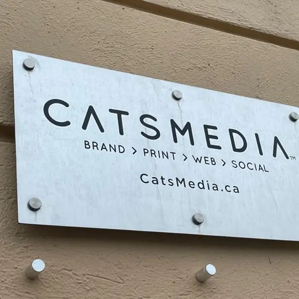 Cats Media